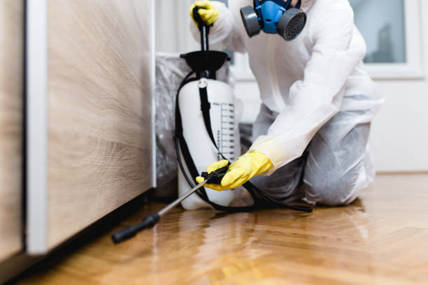 Best Mosquito Control Services  in Williamsport, IN