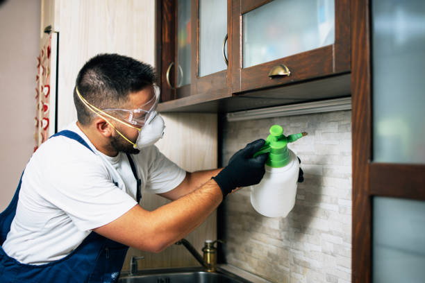 Best Termite Control Services  in Williamsport, IN