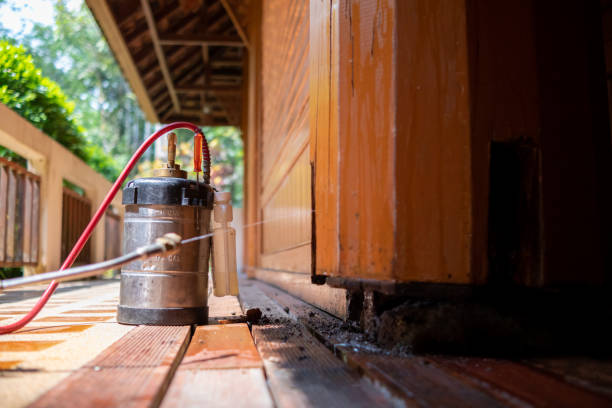Best Local Pest Control Services  in Williamsport, IN
