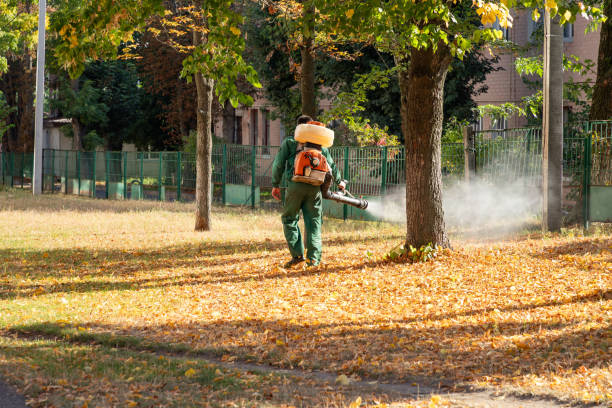 Best Cockroach Control Services  in Williamsport, IN