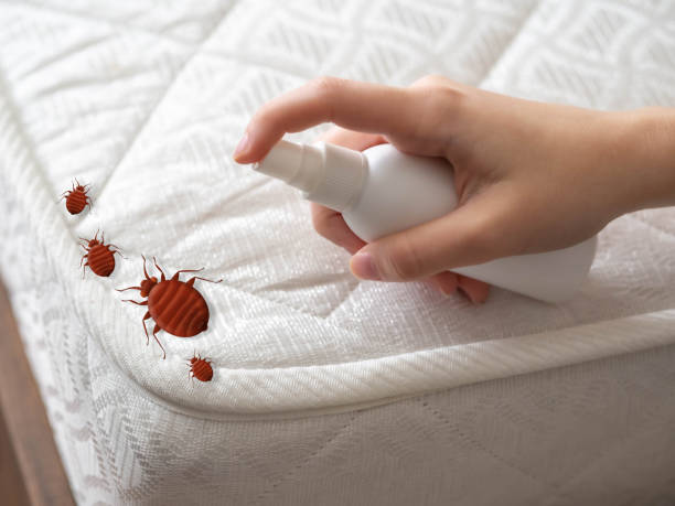 Best Bed Bug Extermination  in Williamsport, IN