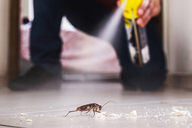 Best Affordable Pest Control Services  in Williamsport, IN