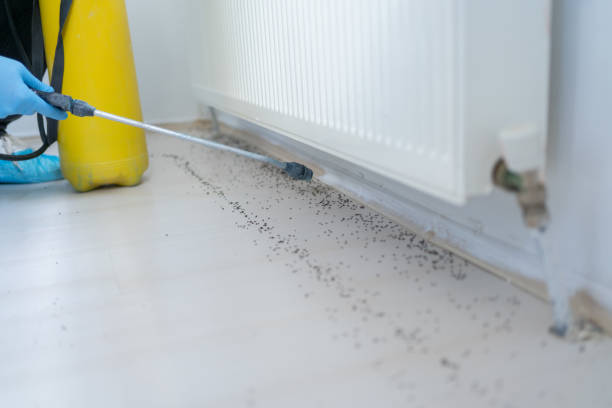 Best Pest Prevention Services  in Williamsport, IN