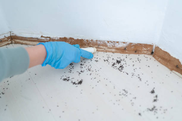 Best Pest Control for Businesses  in Williamsport, IN