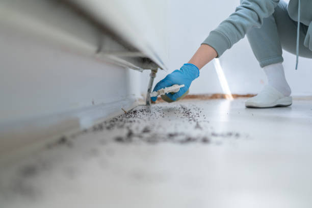 Best Exterminator Services  in Williamsport, IN